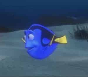 What Type Of Fish Is Dory - Who Plays The Voice Of Dory